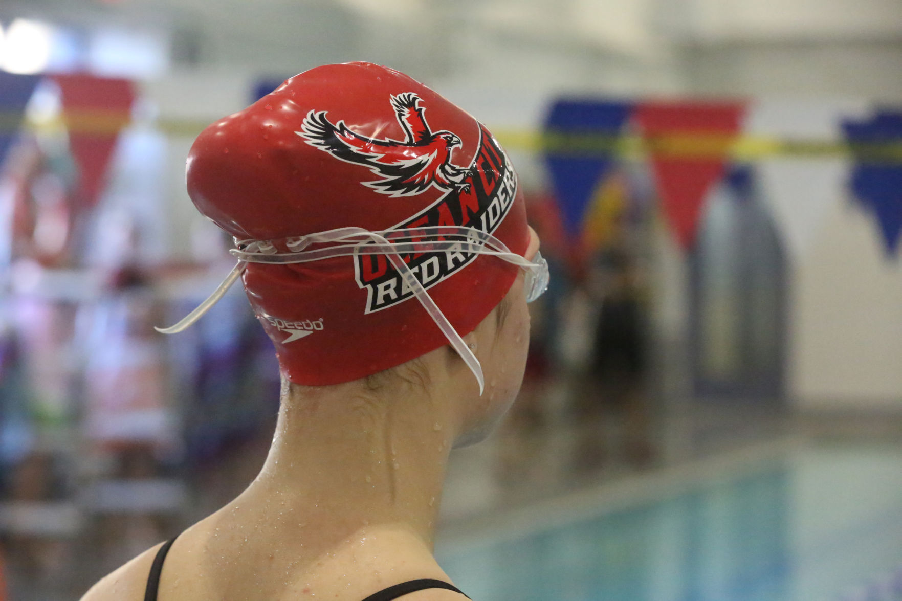 Ocean City Ridley Swimming